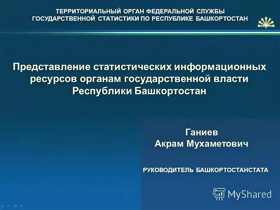 Информационное обеспечение органов муниципального управления. Гос политика в сфере информатизации. Информационный ресурсыэ. Территориальный орган статистики по республике башкортостан. Использование информационных ресурсов органами власти.