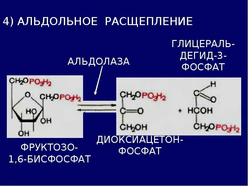 Расщепление фруктозо 1 6 дифосфат. 1 6 Дифосфат фруктозы альдольное расщепление. Реакция альдольного расщепления гликолиз. Уравнение реакции альдольного расщепления фруктозо-1.6-дифосфата.