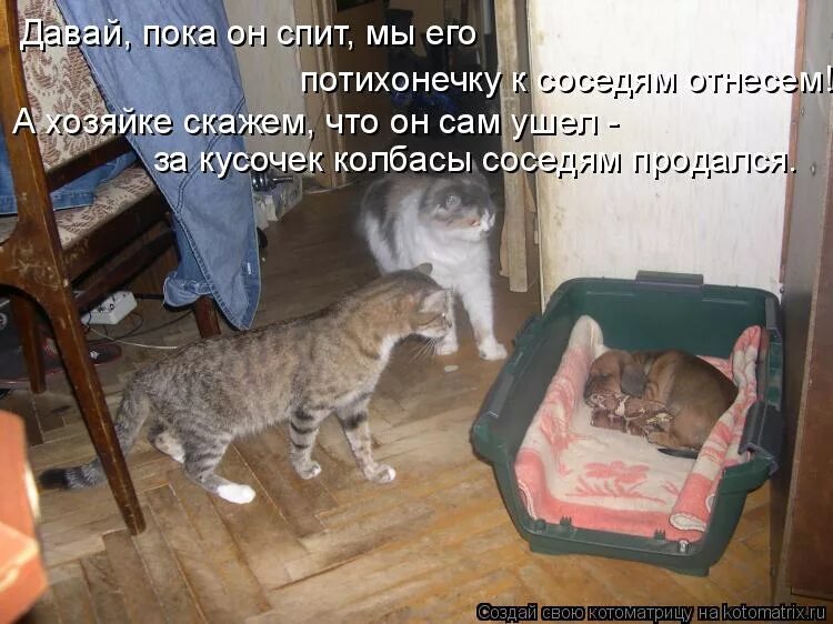 Сосед много хочет