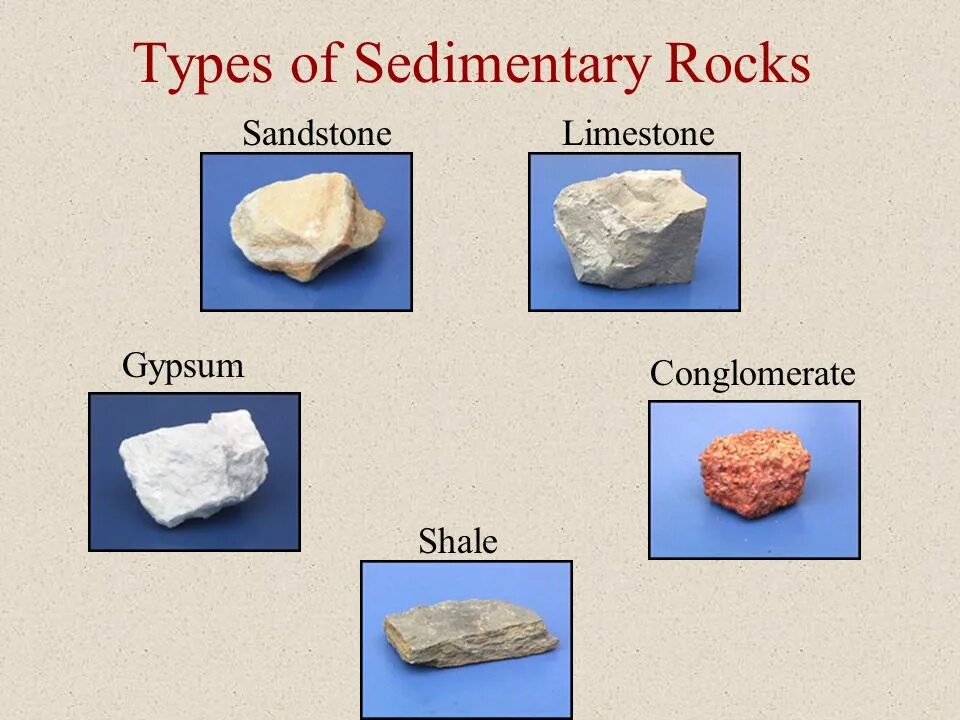 3 types of rocks. Types of igneous rocks. Types of rocks. Rock typing. Types of rocks twinkle.