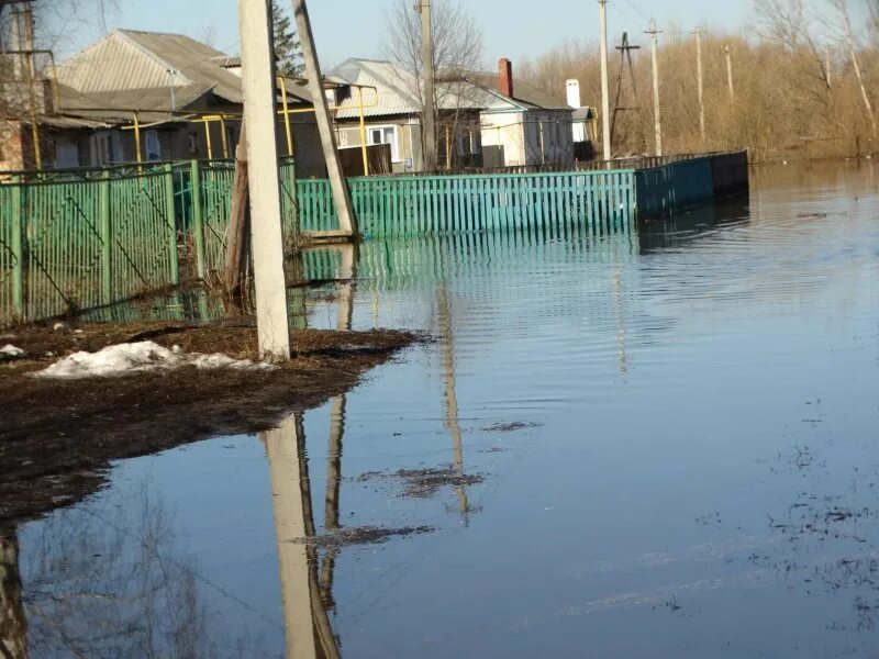 Залитая в половодье. Река судогда половодье. мордово озеро. половодье реки битюг. мордово озеро ульяновская область.
