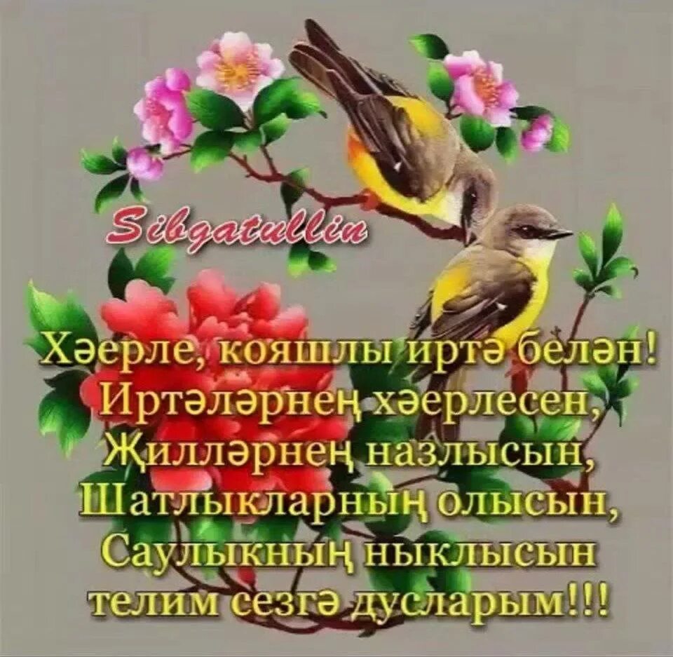 Открытки с добрым утром на татарском языке. Открытки на татарском языке хэерле иртэ. С добрым утром на татарском языке. Пожелание доброго утра на татарском языке. Открытки с добрым утром на татарском.