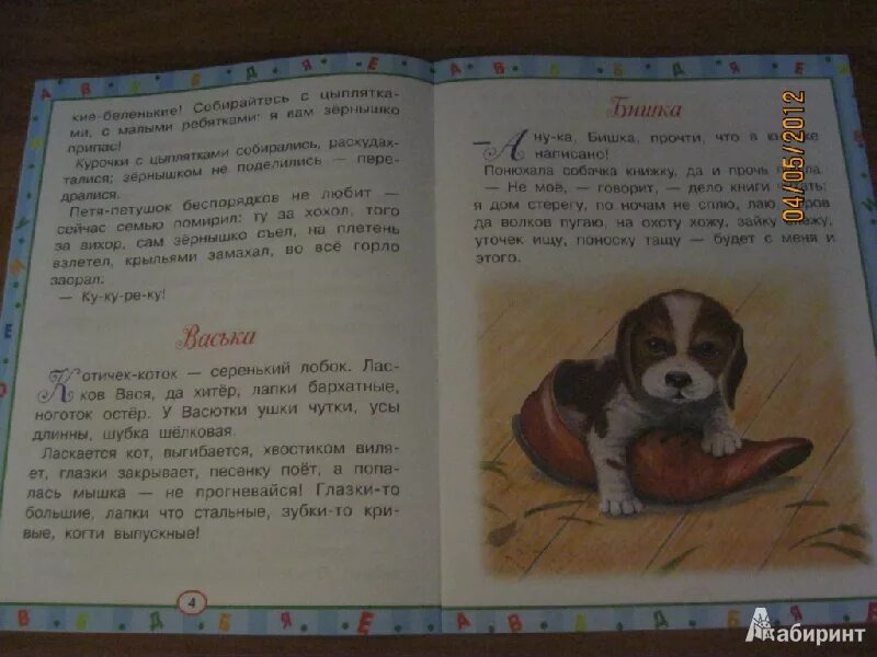 Рассказ про щеночка. Сказка про щенка. Рассказ про собаку 2 класс литературное чтение. Рассказ щенок второй класс.