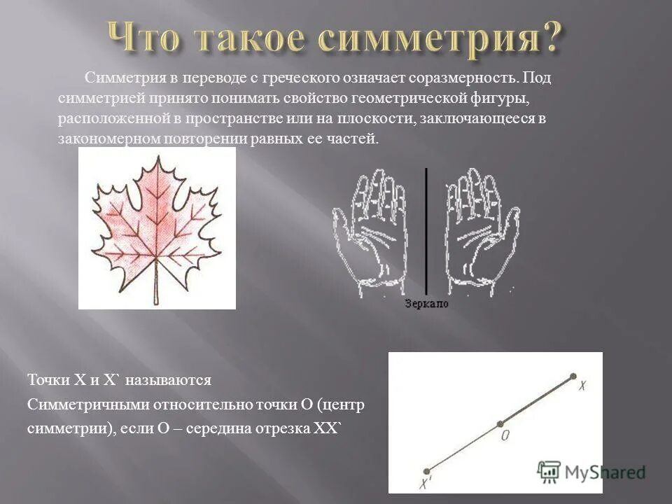 Через тело можно провести одну плоскость симметрии