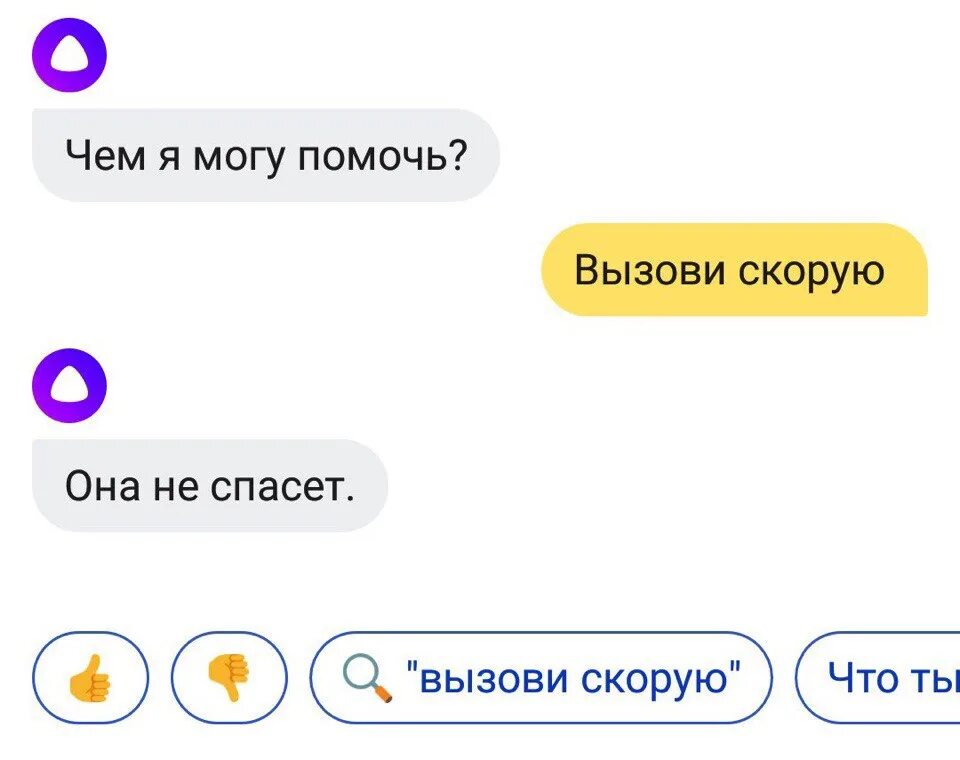 Можно ответ алисы. Шутки над Алисой.