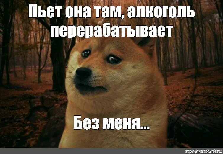 Я пью все то где есть. Пьешь без меня. чувствую что пьют без меня. опять пьете без меня. без меня без меня.