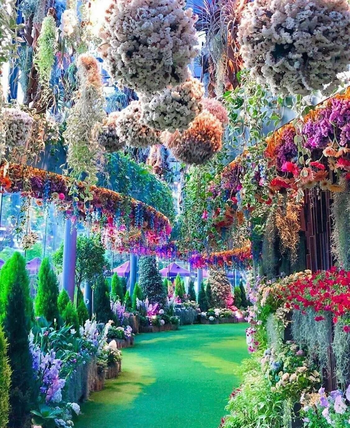 Включи самые красивые в мире. Сады у залива Сингапур. Гарденс Бэй Бэй Сингапур. Сад Кавати Фудзи Япония. Сингапурский Ботанический сад.