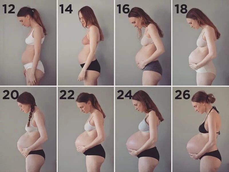 На какой неделе беременности растет живот. Живот по неделям беременности. Живот беременной по месяцам. Рост живота. Животики беременных по месяцам.