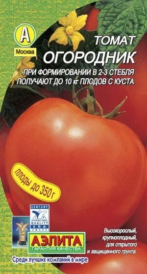 Томат огородник. Сорт помидор огородник. Семена помидор огородник. Томат радость огородника. Томат огородник 0,1гр/10.