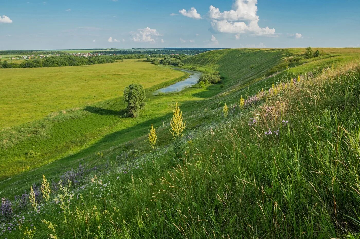 Пойменные Луга Татарстана. Гора Чатыр Тау Татарстан. Природа , Республика Татарстан (Татарстан). Холмы Татарстана. Каким будет лето татарстане