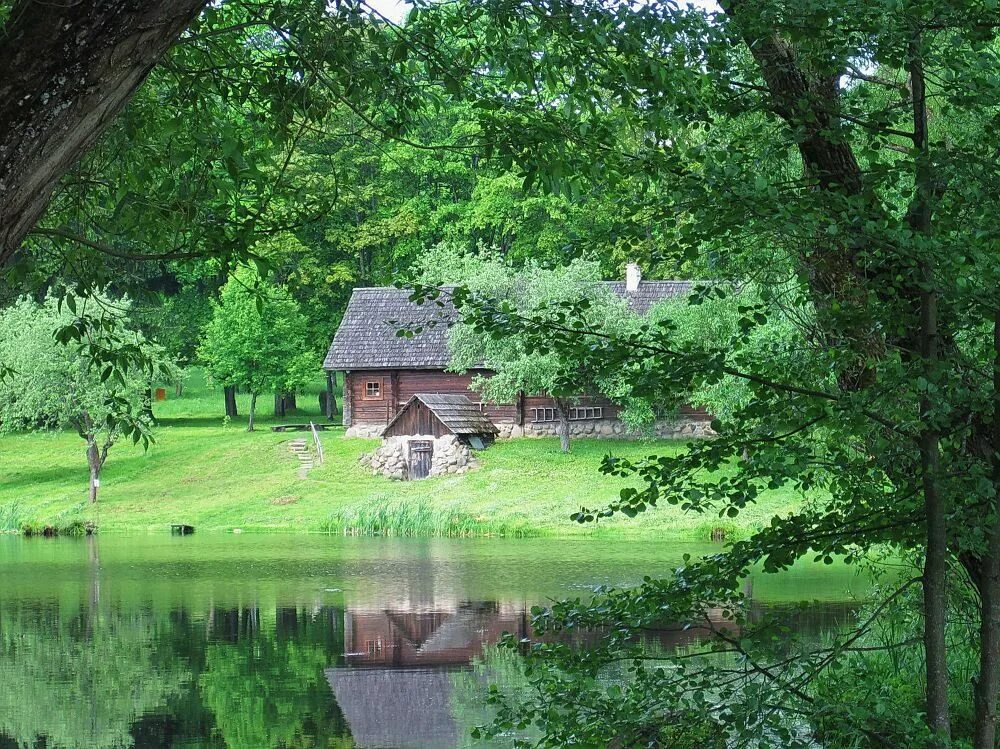 Фото вязынка. Дом в д. Вязынка. Фото вязынка. Вязынка.