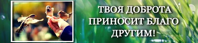 нести благо людям. добро благо соотношение. благо картинки. добрый и отзывчивый человек. благо для человека.