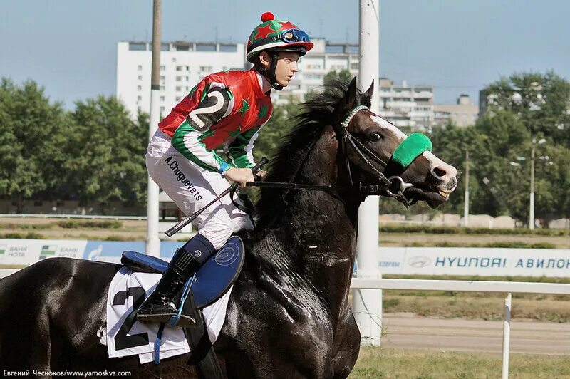 Московский ипподром скачки. Конные скачки в москве. Бега в москве ипподром. Скачки на ипподроме в москве. Скачка москве.