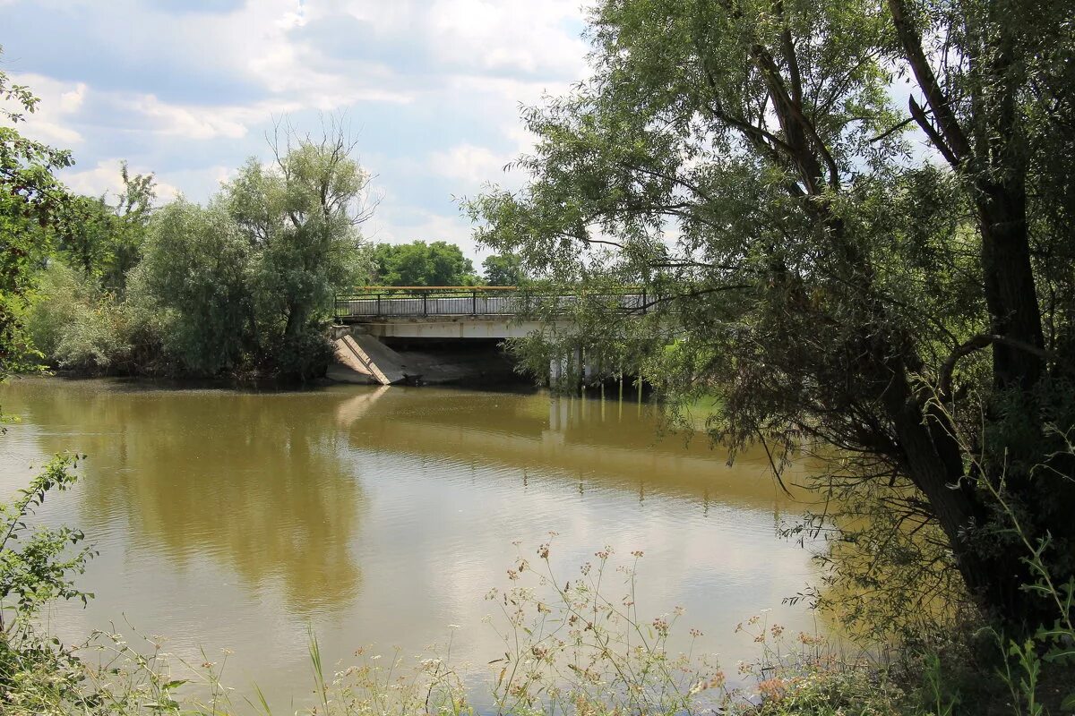 Медведовская краснодарский. Речка Кирпили Краснодарский край. Река Кирпили Тимашевск. Река Кирпили Краснодарского края. Исток реки Кирпили Краснодарского края.