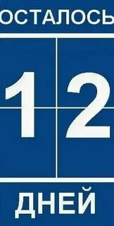 Сколько осталось до 13 августа 2024 года