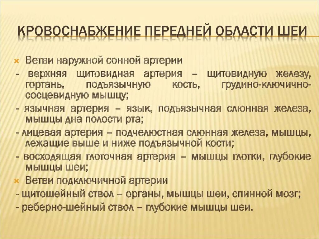 Кровоснабжение мышц. Кровоснабжение мышц