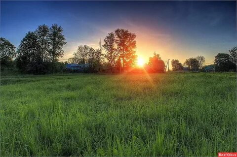 Летнее солнце село