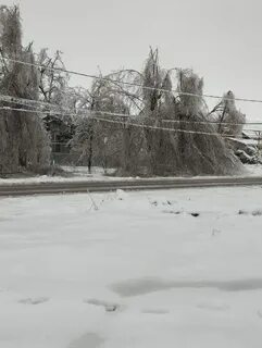 Установившимися погодными условиями