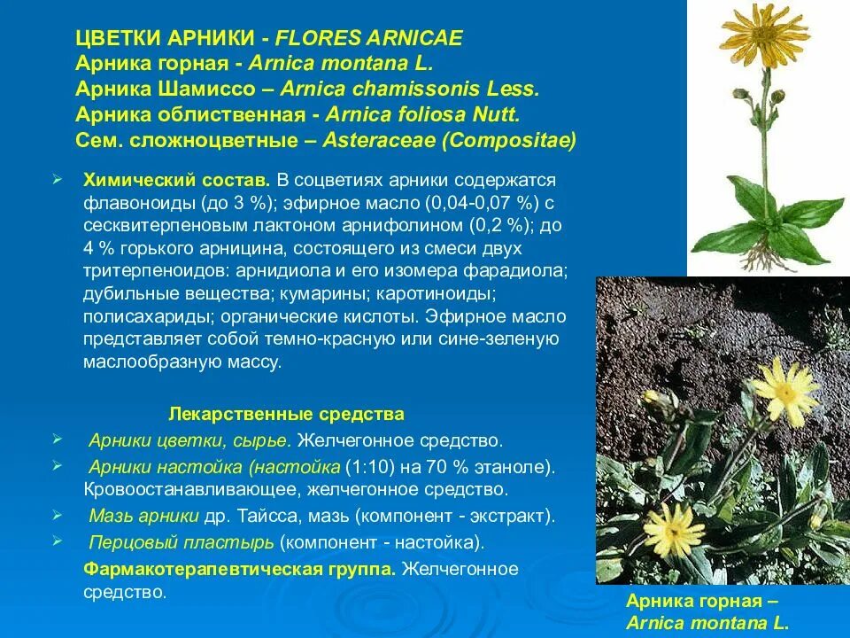Пижма обыкновенная лрс. Липы цветки красногорсклексредства. Календула оффициналис соцветия. Лекарственное растительное сырье flores. Лекарственное растительное сырье flores.