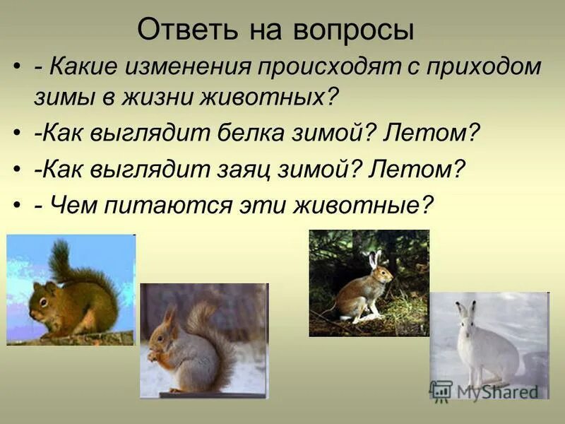 Звери весной презентация. Презентация жизнь животных весной 2 класс. Жизнь животных весной. Звери весной презентация. Презентация жизнь животных весной 2 класс.