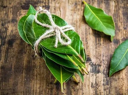 Лавровый лист для привлечения денег и удачи