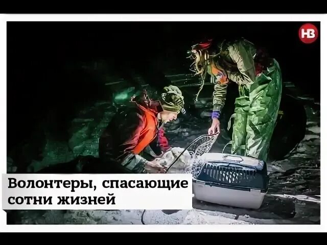Волонтеры спасем жизнь
