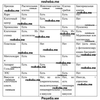 Растения животные практическая работа