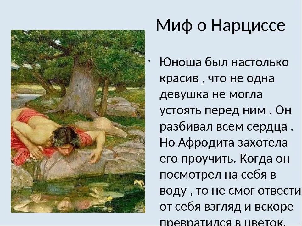 Эхо кратчайшее содержание