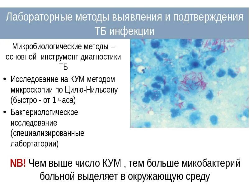 Туберкулез циль нильсену