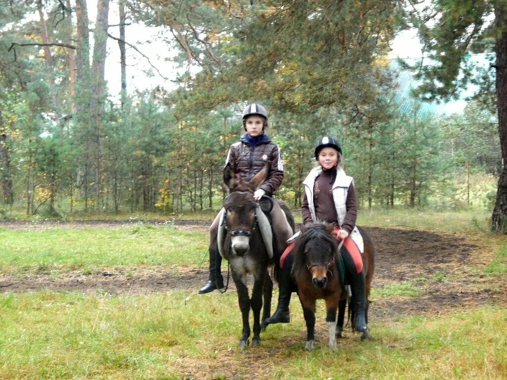 Конюшня верхняя пышма. Конный клуб horse. Конный клуб в ереване. Конный клуб. Конный клуб головинка калужская область.