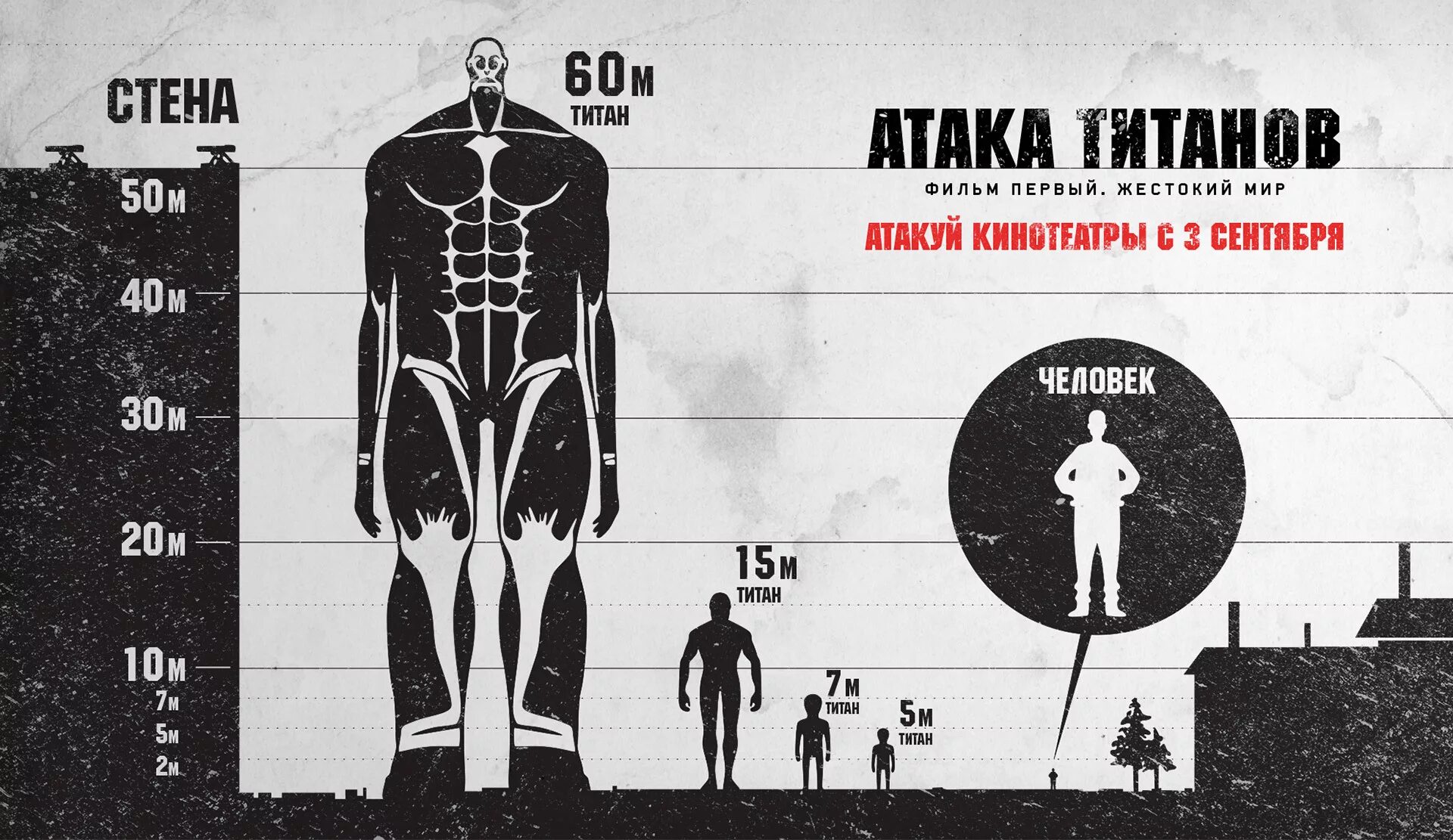 5 20 рост. Высота титанов из атаки титанов таблица. Титаны из атаки титанов рост таблица.