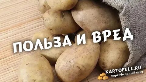 Картофель польза и вред