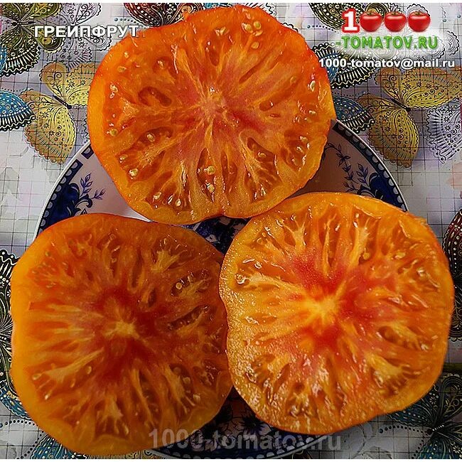 томат дедушкин грейпфрут. томат грейпфрут вес 0,2 гр. помидор грейпфрут желтый. томат дедушкин грейпфрут. томат сорта грейпфрут.