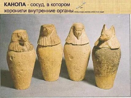Специальный сосуд