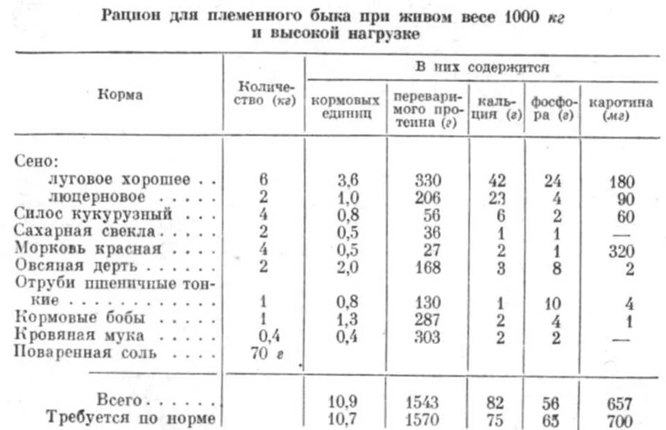 Можно ли бычка кормить