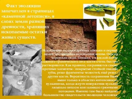 Каменная летопись