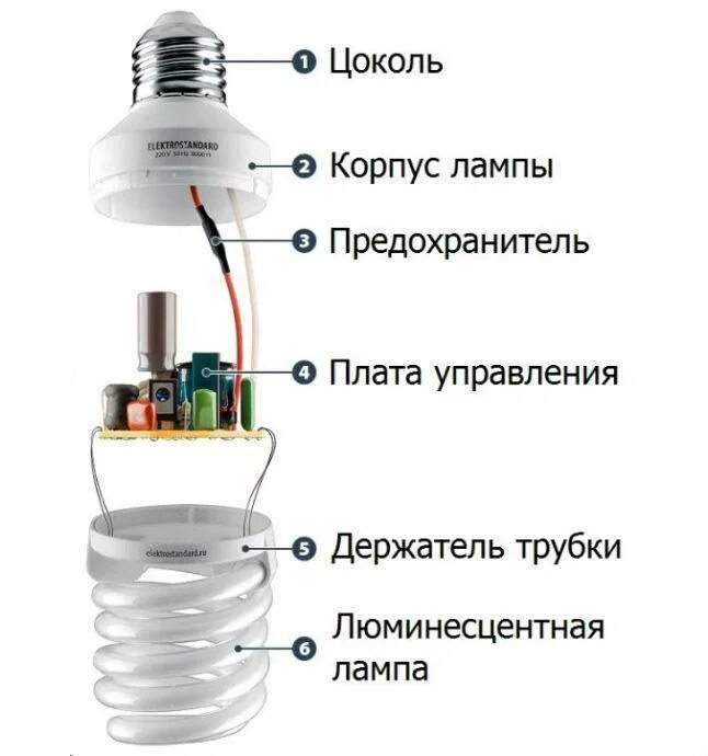 Почему энергосберегающая лампочка. Строение энергосберегающей лампы. Конструкция энергосберегающей люминесцентной лампы. Строение люминесцентной лампы схема. Люминесцентная лампа схема устройства.