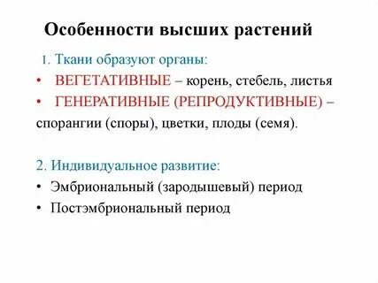 Особенности высших растений примеры Высшие растения характерные особенности и примеры