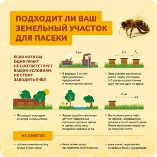 Какой продукт нельзя получить на пасеке