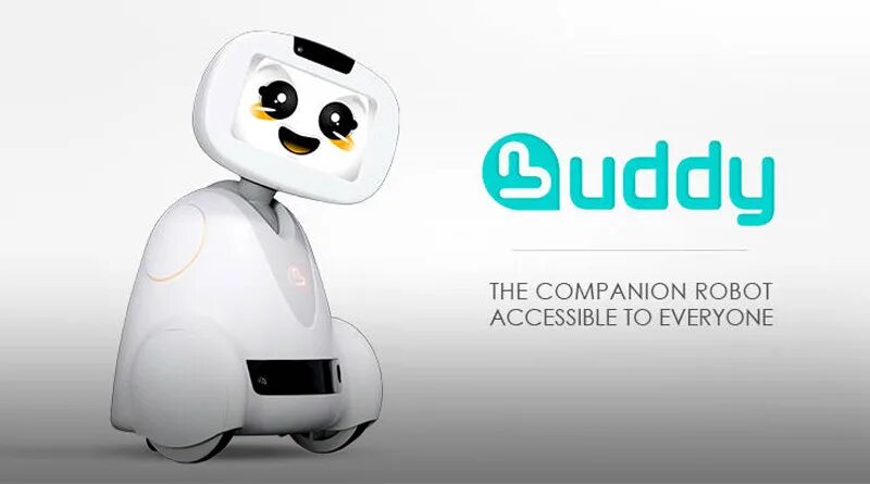 Робот buddy. Бадди помощник. Эмоциональный робот buddy. Робот buddy для пожилых. Робот бадди