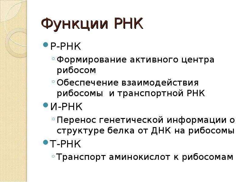 Соотнесите типы рнк и их функции. Функции рнк кратко.