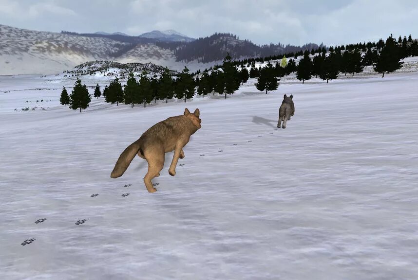 Игра WOLFQUEST. Вулф квест. WOLFQUEST 3. WOLFQUEST 4. Как играть в игру волки