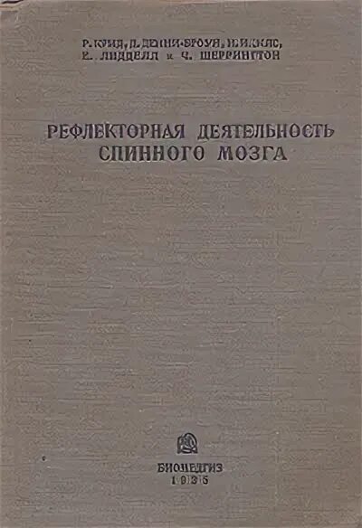 рефлекторная деятельность мозга. классификация рефлексов среднего мозга. рефлекторная активность это. рефлекторная деятельность мозга. функции и рефлексы среднего мозга.