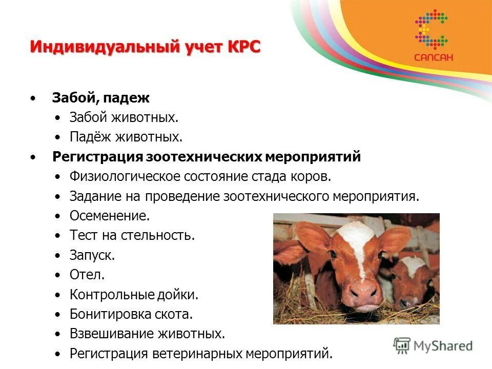 Физиологические состояния животных