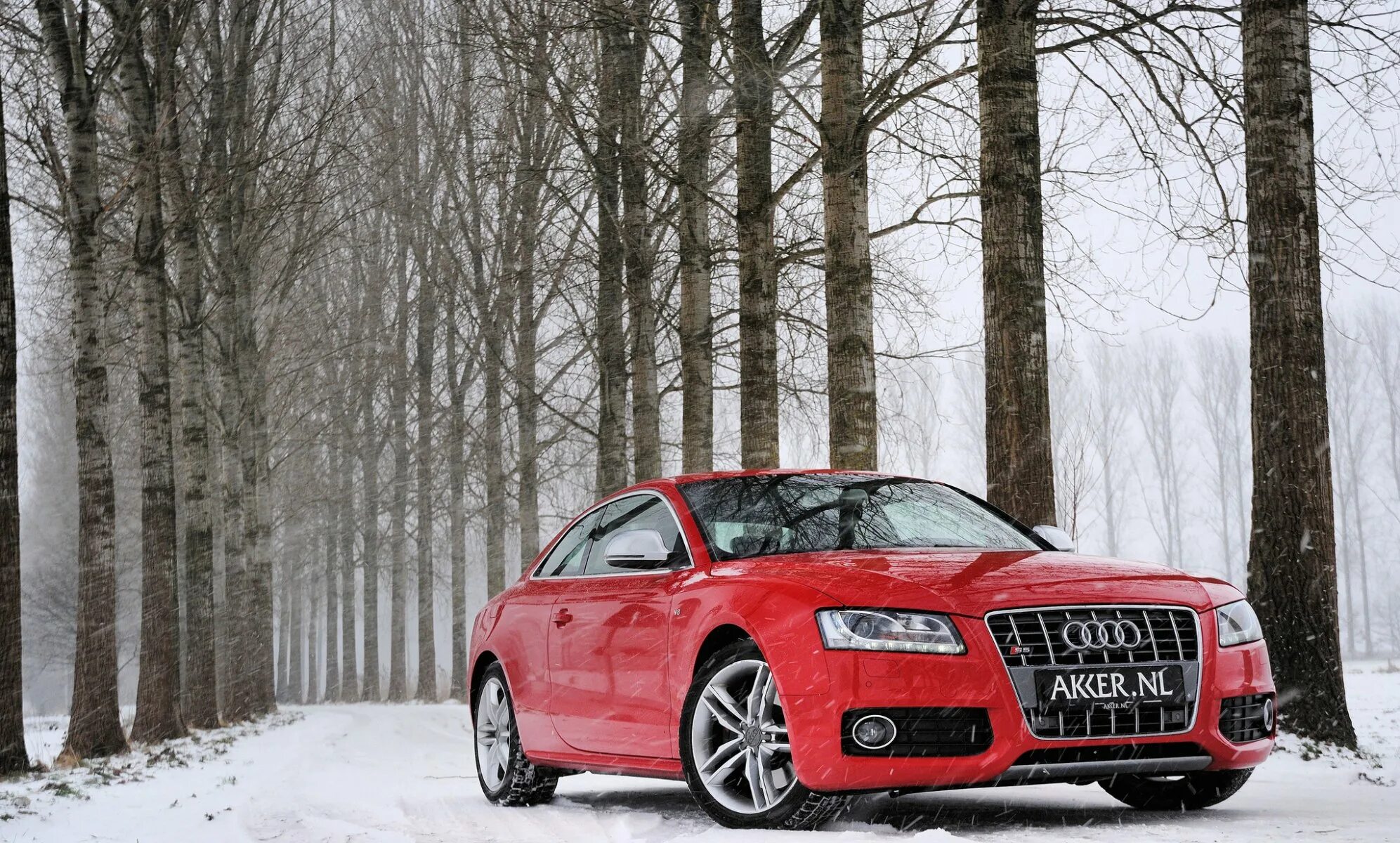 Audi a5 Red. Ауди с4ц4 красная. Audi s5 красная. Авто Audi s5 Red. Ауди аск