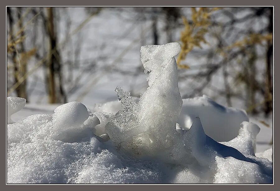 Со снежком