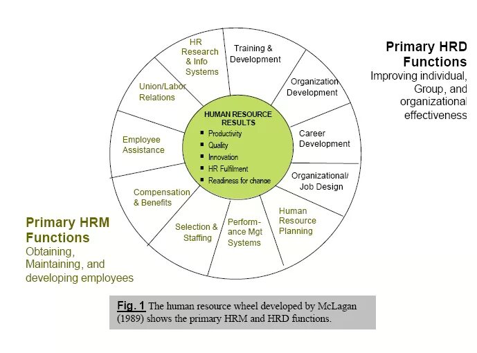 R d функция. Функции HRD. Функционал HRD. (Human resource Development - HRD) структура. HRD что это за должность.