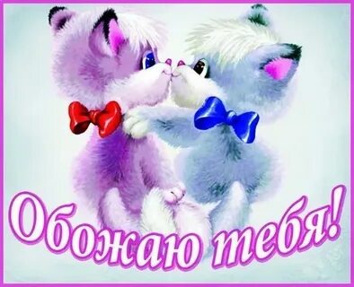 Я тебя обожаю хорошего дня