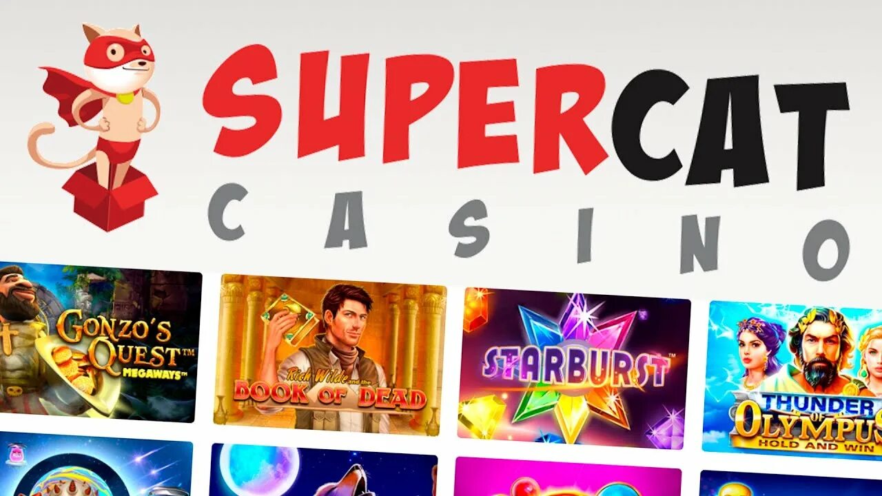 Supercat casino supercat casino space. Кэт казино. Казино супер Кэт. Cat Casino бездепозитный бонус. Играть в казино супер Кэт.