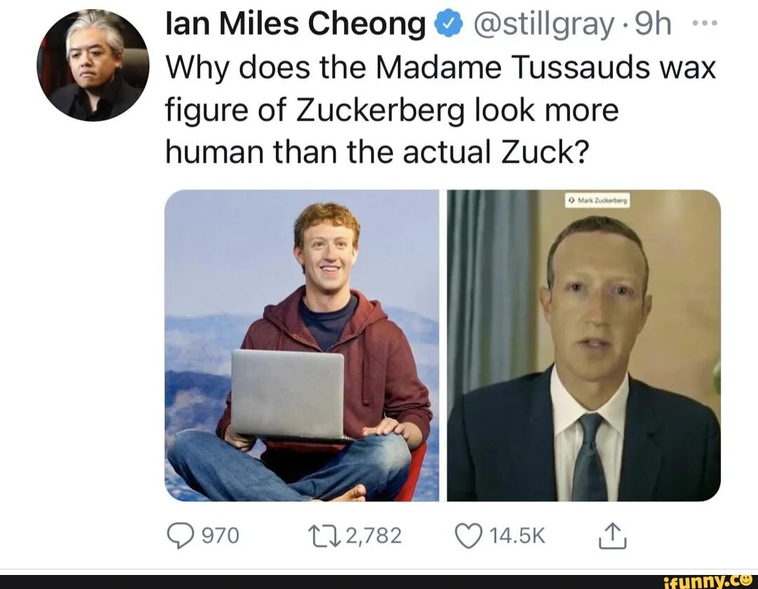 Zuckerberg look. Zuckerberg Lizard. Mark Zuckerberg Lizard. Mark Zuckerberg is a Reptilian. Appear on the most